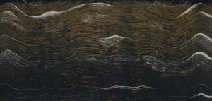 CAMBRIA BLACK MARBLE COLLECTION